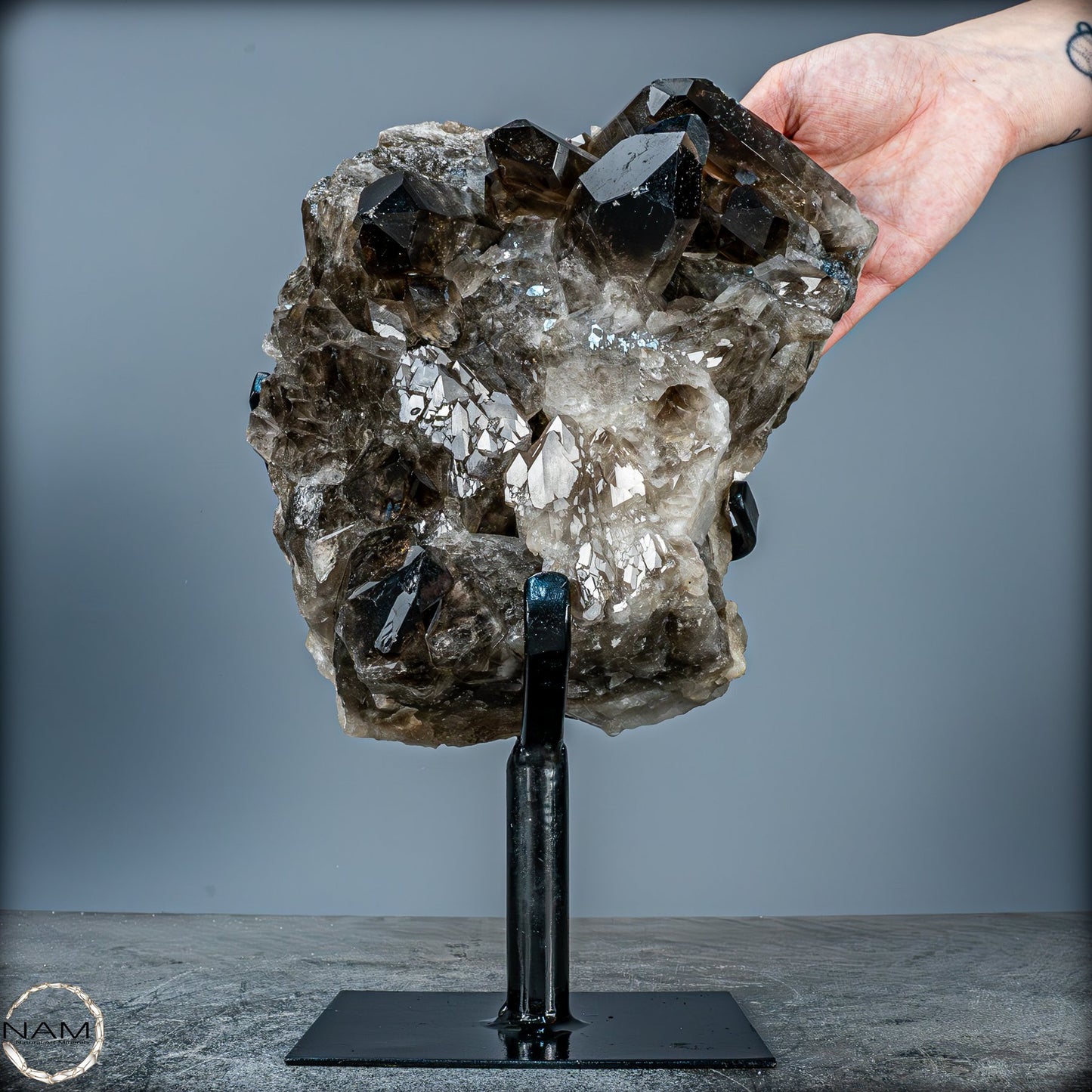 Große Natürliche Rauchquarz-Kristalle auf Ständer - 4719,38 g