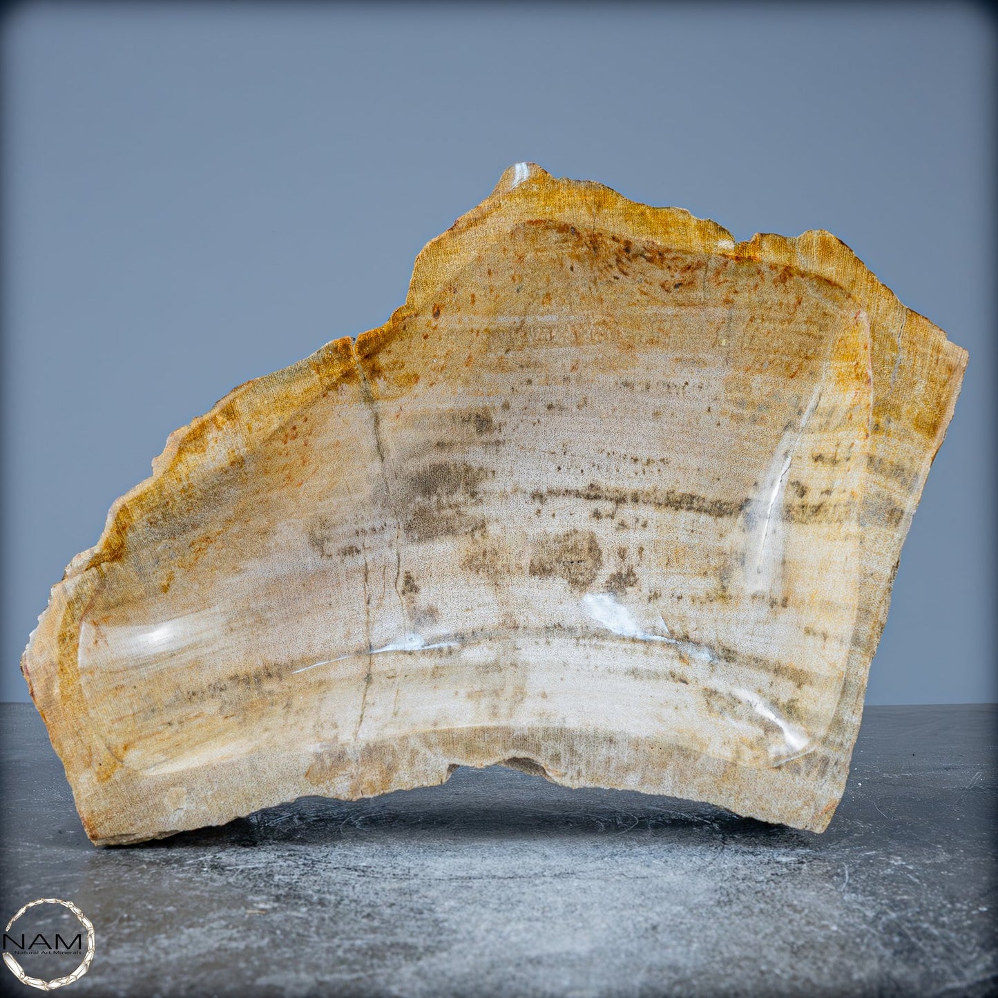 Natürliche Versteinerte Holz Kristall-Schale - 2599,59g