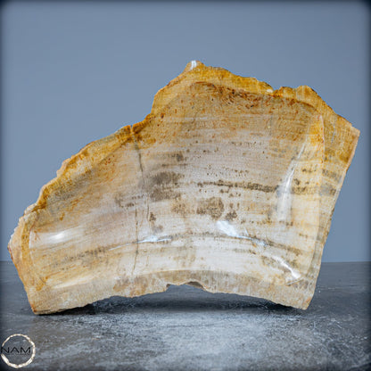 Natürliche Versteinerte Holz Kristall-Schale - 2599,59g