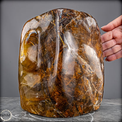 Healer-Quarz „Stone Head“ – Ein außergewöhnliches Sammlerstück -10701,26g