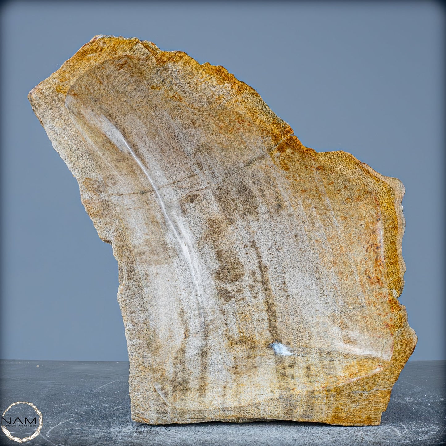 Natürliche Versteinerte Holz Kristall-Schale - 2599,59g