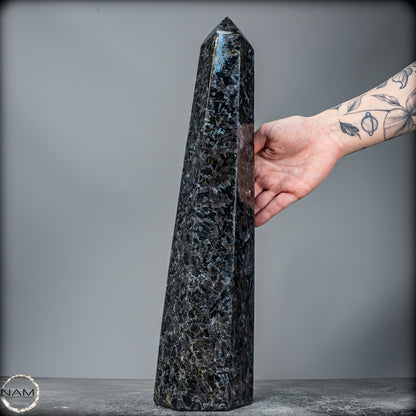 Natürlicher Merlinit (Gabbro) Kristall Obelisk - 4984,28g