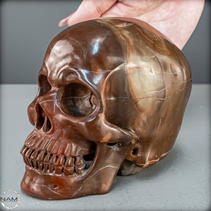 Imposanter Schädel aus rotem Achat - 2272,53g