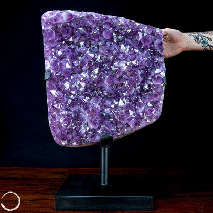 Natürliche Amethyst-Kristalle/Druse auf Ständer - 20956,11g