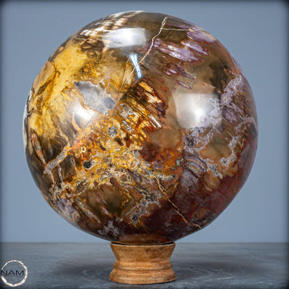 Natürliche Kristall-Kugel aus Versteinertem Holz  - 5089,72g - 170mm