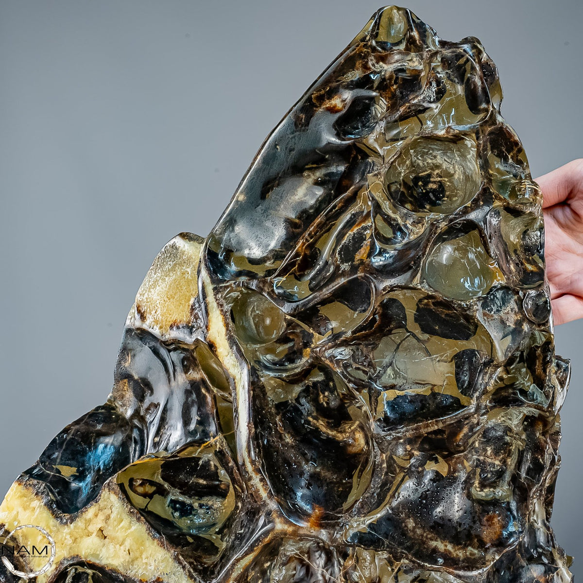 Septarien-Skulptur mit Ammonit aus Russland – 22569,66g