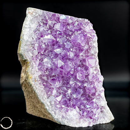Natürliche Amethyst-Kristall Druse - 744,51g