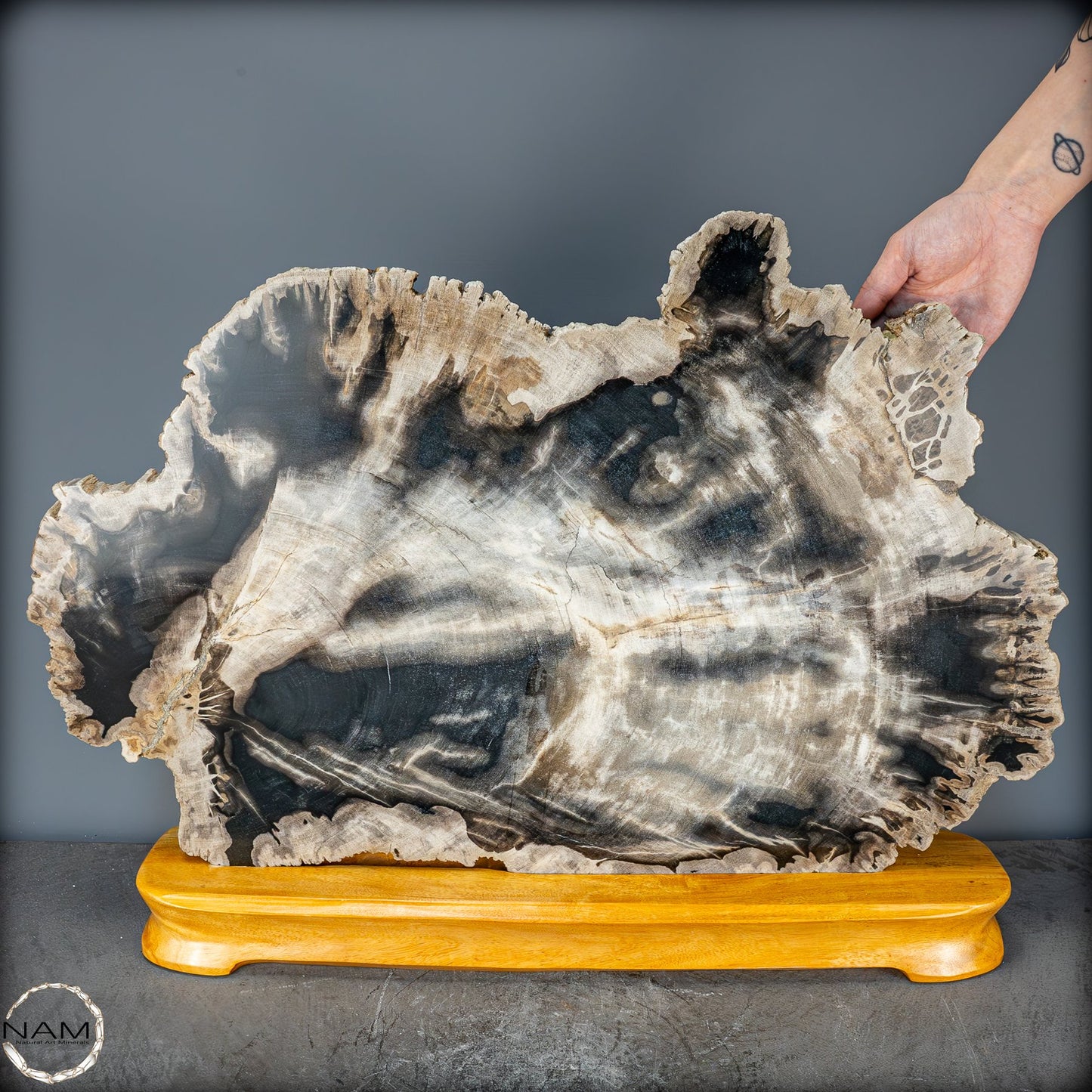Natürliche Versteinerte Holz Kristall-Scheibe aus Arizona - 16728,48g