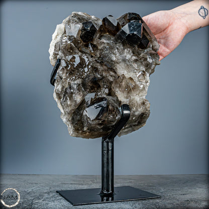 Große Natürliche Rauchquarz-Kristalle auf Ständer - 4719,38 g