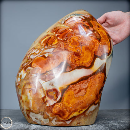 Natürliche Polychrome Jaspis Kristall-Freiform XXL -13681,79g