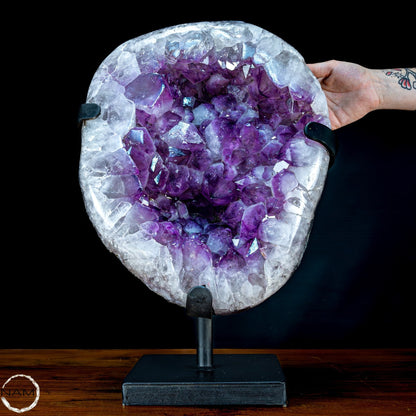 Große Natürliche Amethyst-Kristalle/Druse auf Ständer - 25653,08g