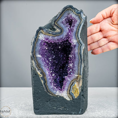Amethyst-Druse Kathedrale – Naturwunder aus Uruguay – 3833,45g
