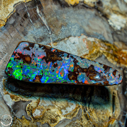 Natürlicher AAA+ Boulder Opal aus Australien Edelsteinqualität - 14,846g