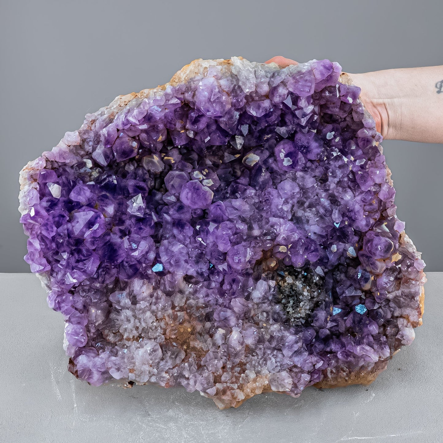Riesen Kaktus-Amethyst aus Südafrika - 11765,71g