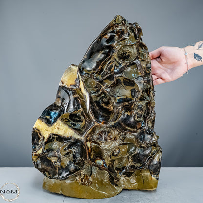 Septarien-Skulptur mit Ammonit aus Russland – 22569,66g