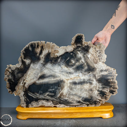 Natürliche Versteinerte Holz Kristall-Scheibe aus Arizona - 16728,48g