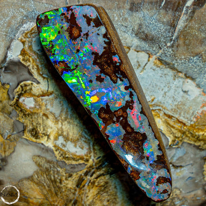 Natürlicher AAA+ Boulder Opal aus Australien Edelsteinqualität - 14,846g