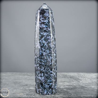 Natürlicher Merlinit (Gabbro) Kristall Obelisk - 821,77g