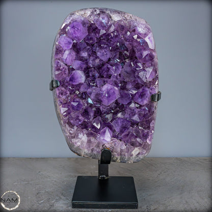 Natürliche Amethyst-Kristalle/Druse auf Ständer - 12881,84g