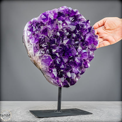 Amethyst Druse auf elegantem Metallständer - 6100,24g