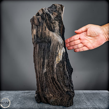 Feenholz – Ein außergewöhnliches Naturkunstwerk  – 7174,96g