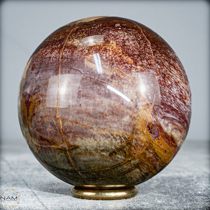 Natürliche Kristall-Kugel aus Versteinertem Holz  -519,34g