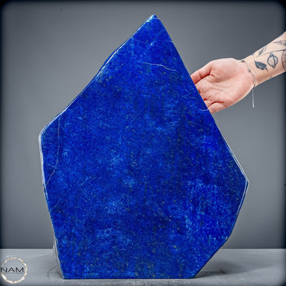 Königsblaue Lapis Lazuli Freiform – 15 kg pure Eleganz - 15084,72g