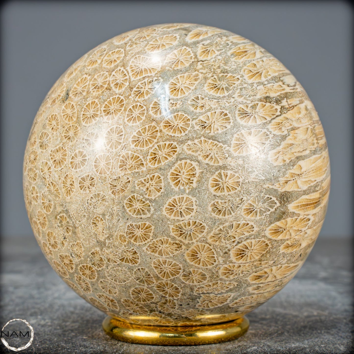 Natürliche Fossile Koralle als Kugel - 860,95g