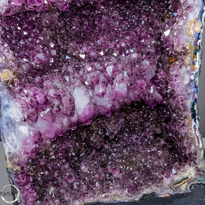 Amethyst-Druse–Naturkunst voller Kristallenergie- 41568,29g