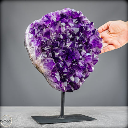 Amethyst Druse auf elegantem Metallständer - 6100,24g
