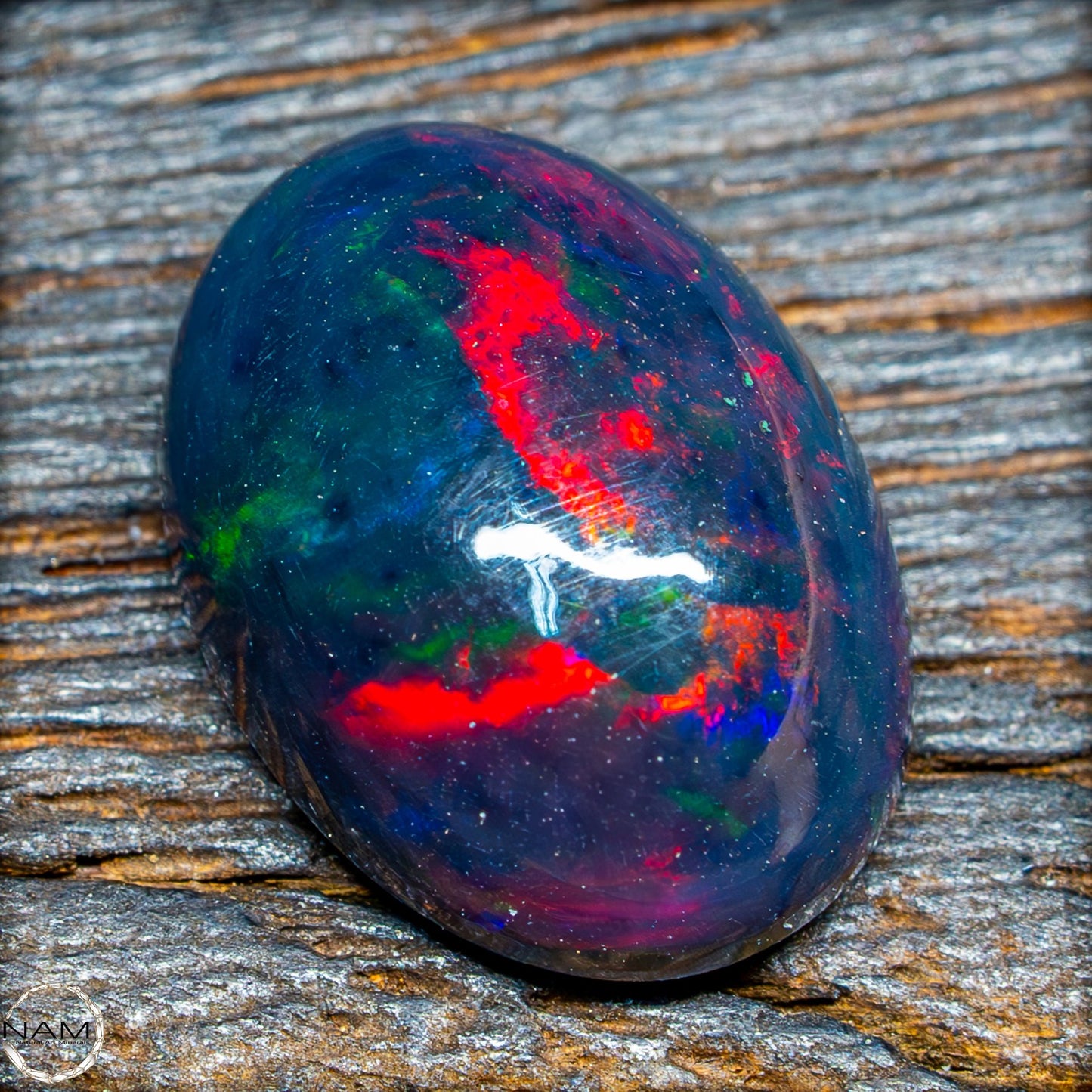 Großer AAA+ Schwarzer Opal Cabochon - 0,685g/3,425ct