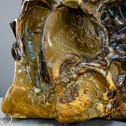 Septarien-Skulptur mit Ammonit aus Russland – 22569,66g