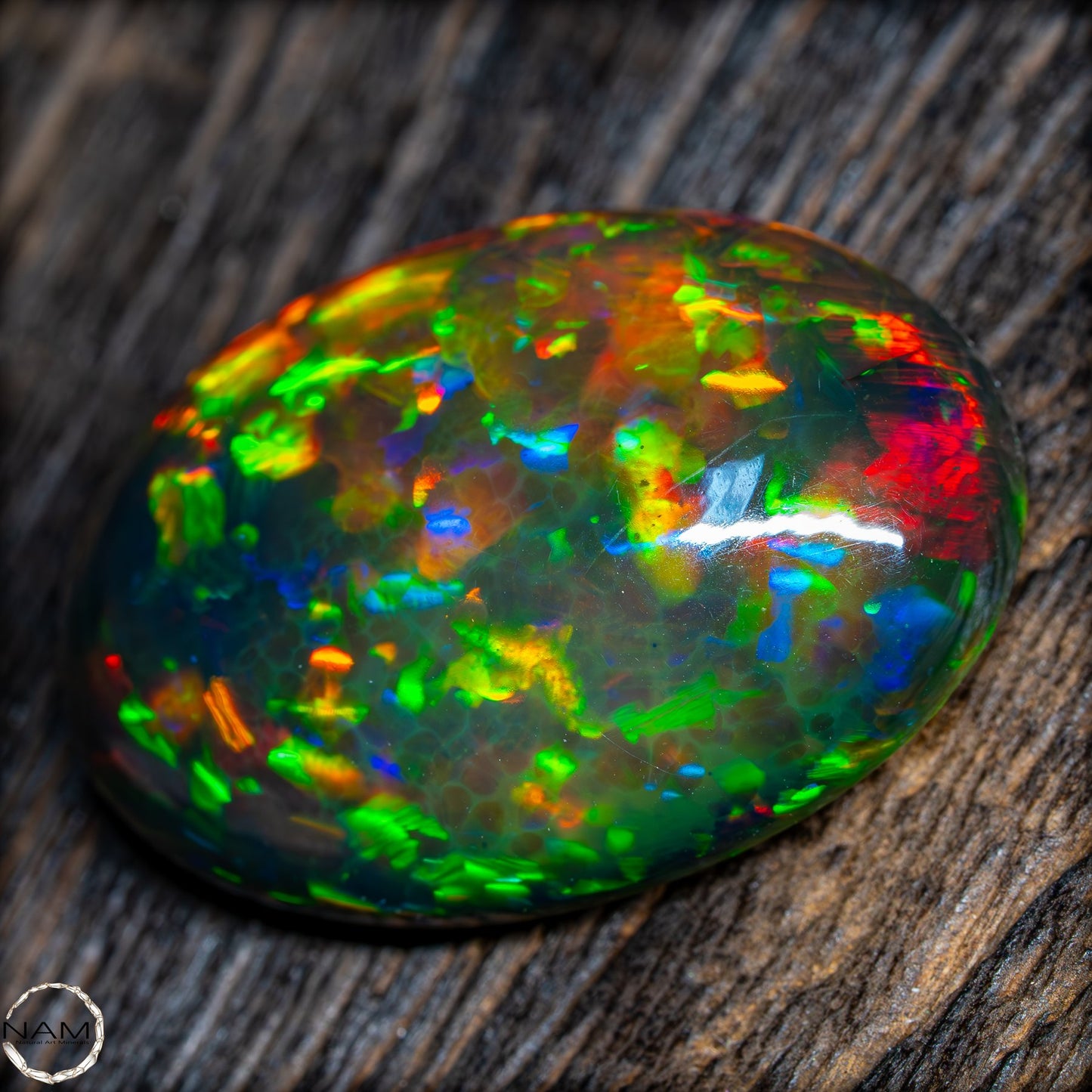 Großer AAA+ Schwarzer Opal Cabochon - 24.3 ct - 4.86 g