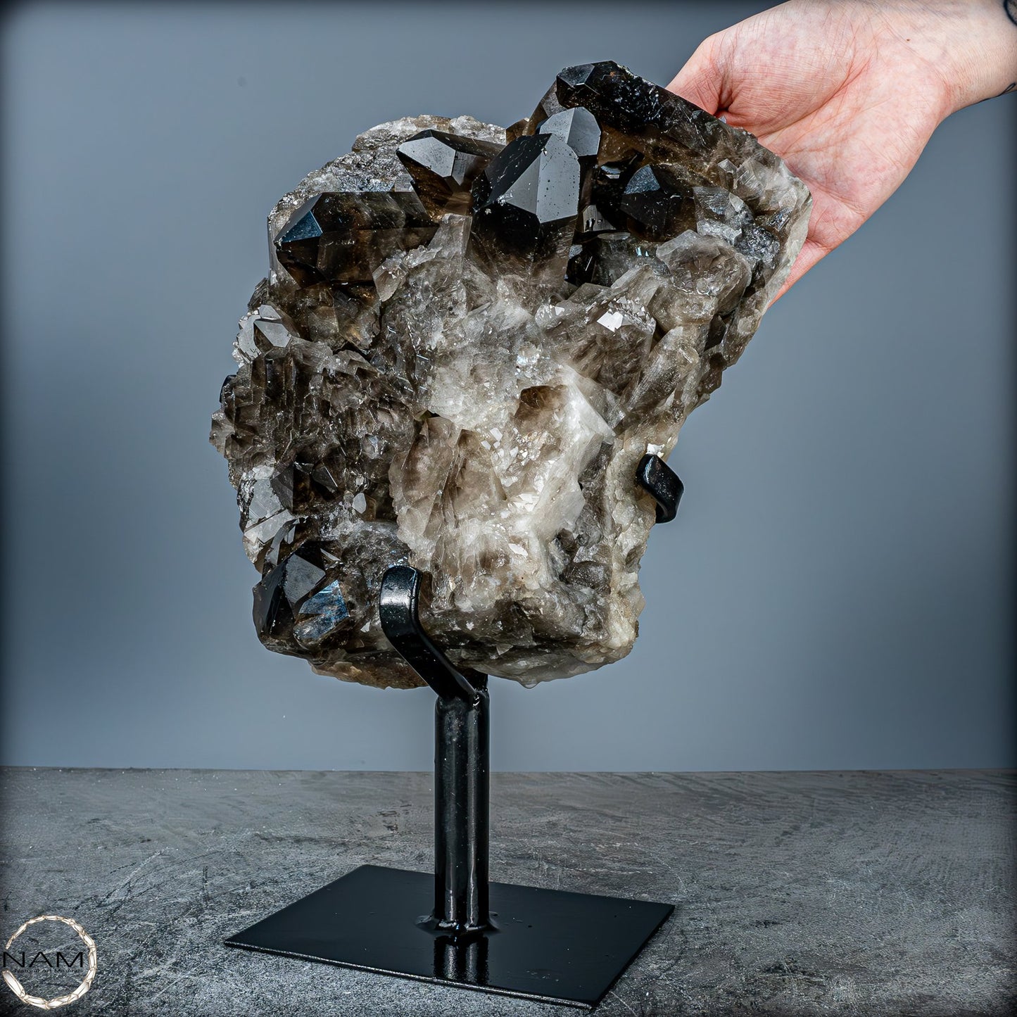 Große Natürliche Rauchquarz-Kristalle auf Ständer - 4719,38 g