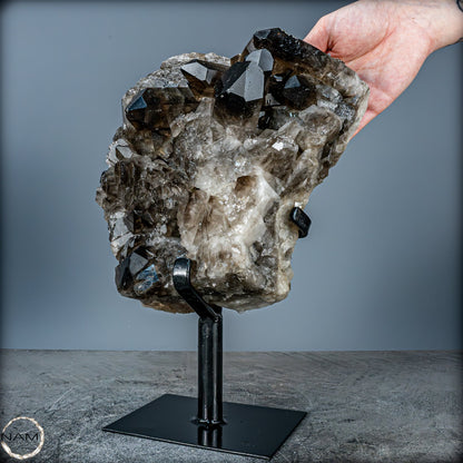 Große Natürliche Rauchquarz-Kristalle auf Ständer - 4719,38 g