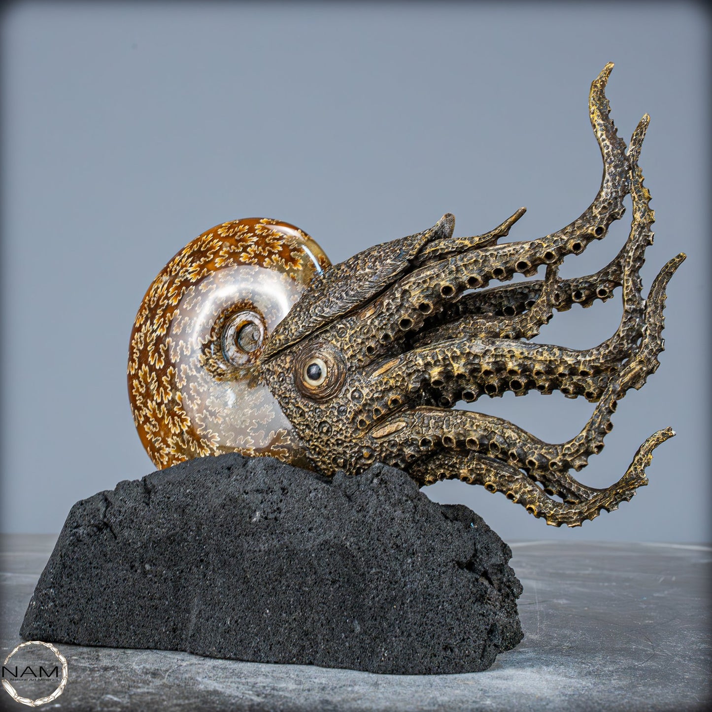 Natürlicher Ammonite verbunden mit Meisterhafter Kunst - 1079,22g