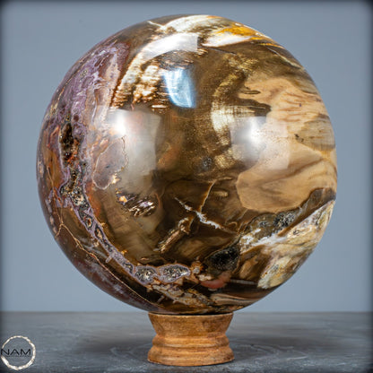Natürliche Kristall-Kugel aus Versteinertem Holz  - 5089,72g - 170mm