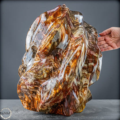 Natürliche Kristall-Flamme aus Versteinertem Holz  - 57231,11g