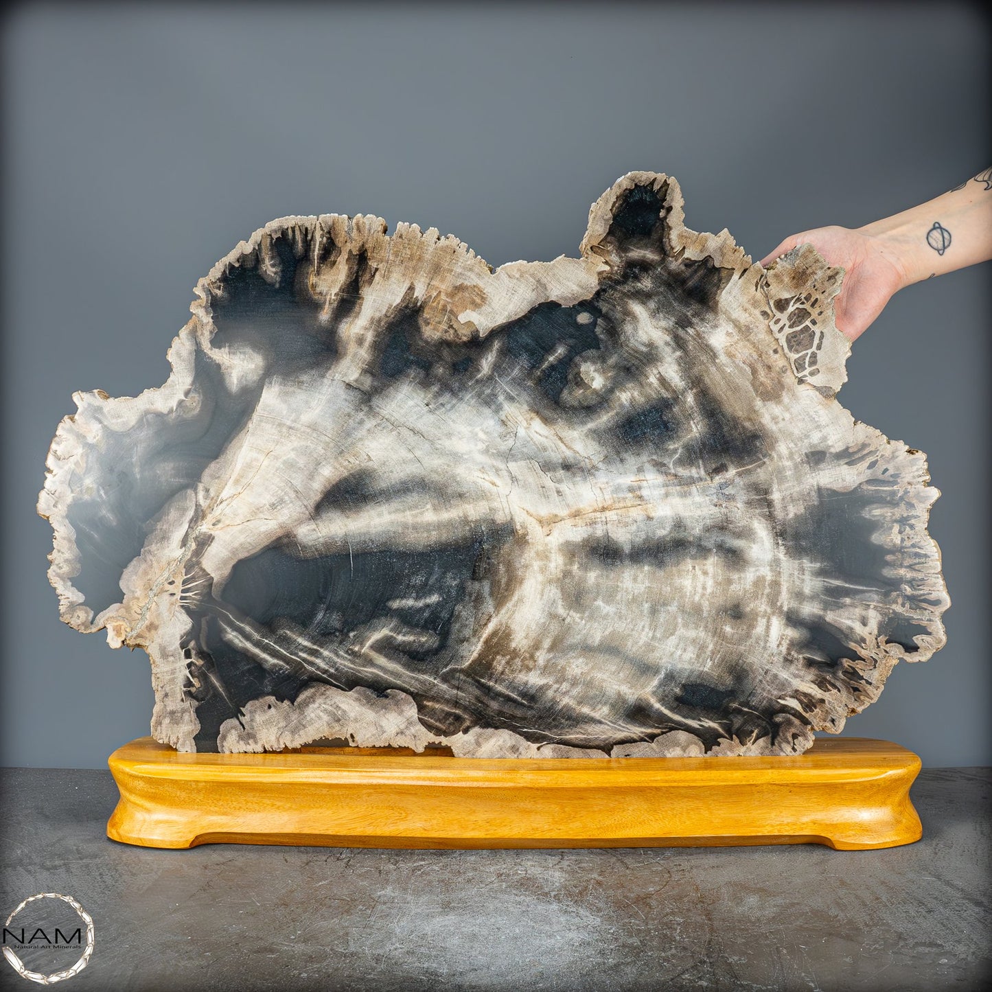 Natürliche Versteinerte Holz Kristall-Scheibe aus Arizona - 16728,48g