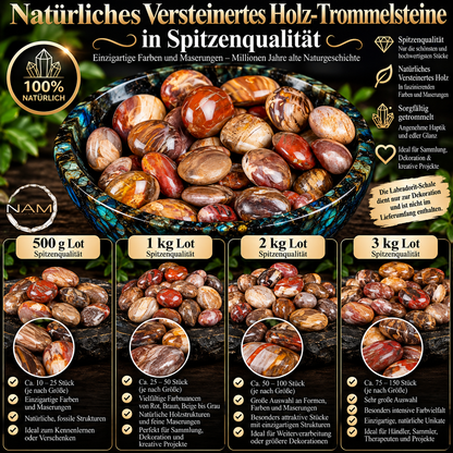 Trommelsteine aus versteinertem Holz – Faszinierende Maserungen und Millionen Jahre Erdgeschichte