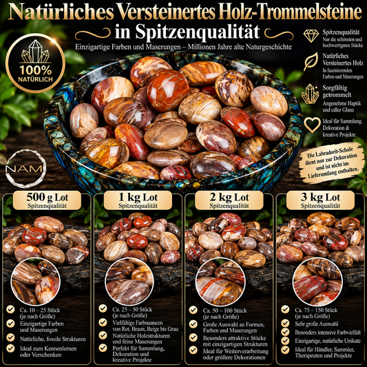 Trommelsteine aus versteinertem Holz – Faszinierende Maserungen und Millionen Jahre Erdgeschichte