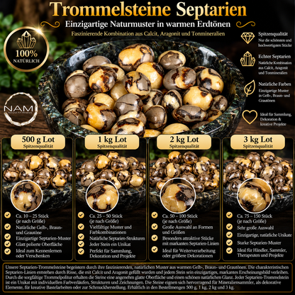Trommelsteine Septarien – Faszinierende Naturmuster in warmen Gold-, Braun- und Cremetönen