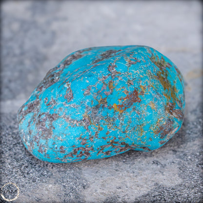Türkis aus Arizona, Top Qualität - 33,02g - 165,10ct
