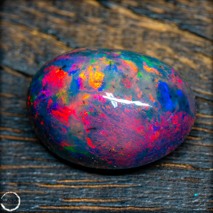 Großer AAA+ Schwarzer Opal Cabochon, 14,225ct - 2,845g