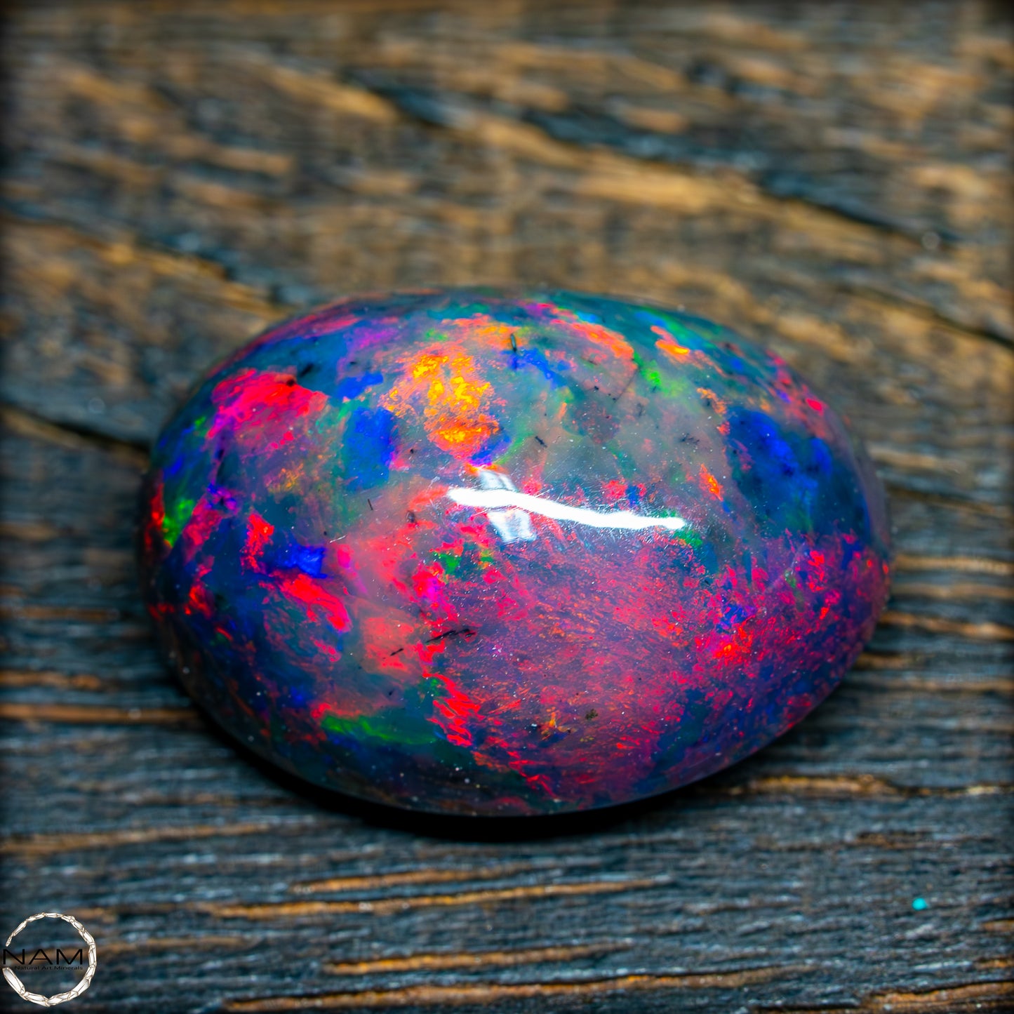 Großer AAA+ Schwarzer Opal Cabochon, 14,225ct - 2,845g