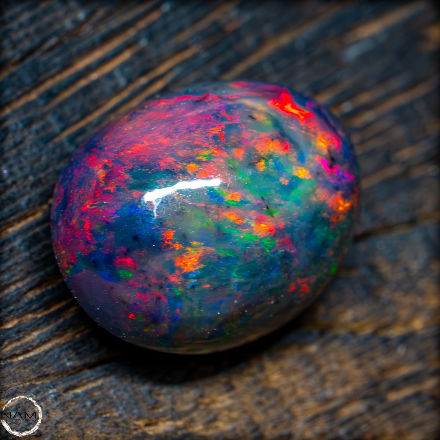 Großer AAA+ Schwarzer Opal Cabochon, 14,225ct - 2,845g