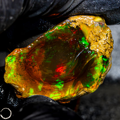 Seltener Natürlicher Großer Kristall-Opal, Äthiopien - 65,05 ct