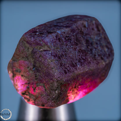 Seltener Padparadscha Farbener Saphirekristall aus Tansania - 13,56g - 67,80ct