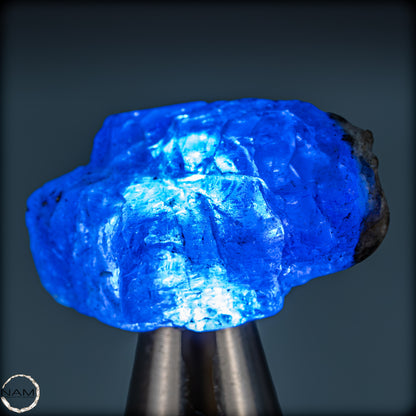 Natürlicher, Schöner Tansanit-Kristall, Tansania - 7,12g - 36,05ct