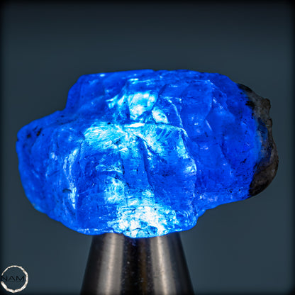 Natürlicher, Schöner Tansanit-Kristall, Tansania - 7,12g - 36,05ct